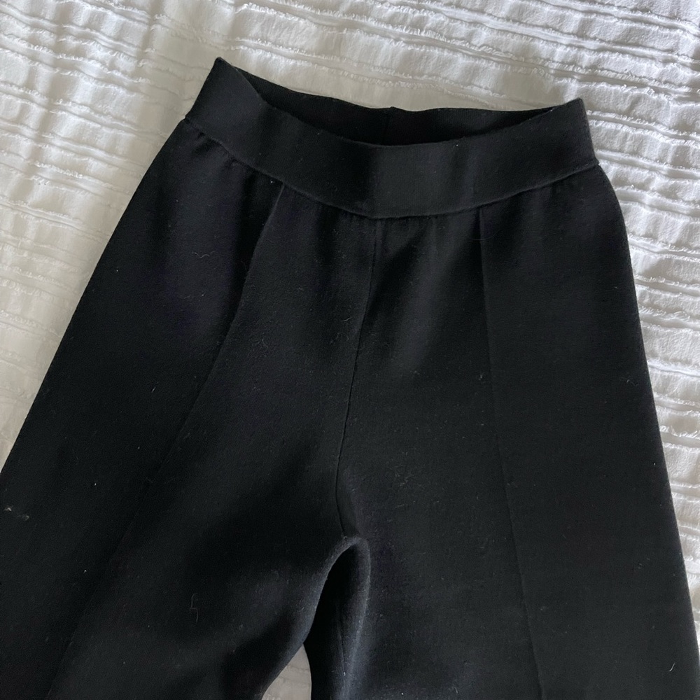 Wilfred Aritzia Souvenir Pant